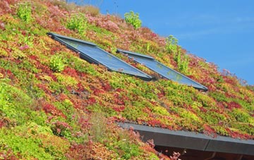 Pleasleyhill living roof systems