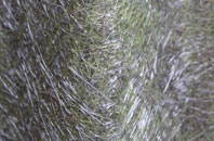 Pleasleyhill fibreglass roof work